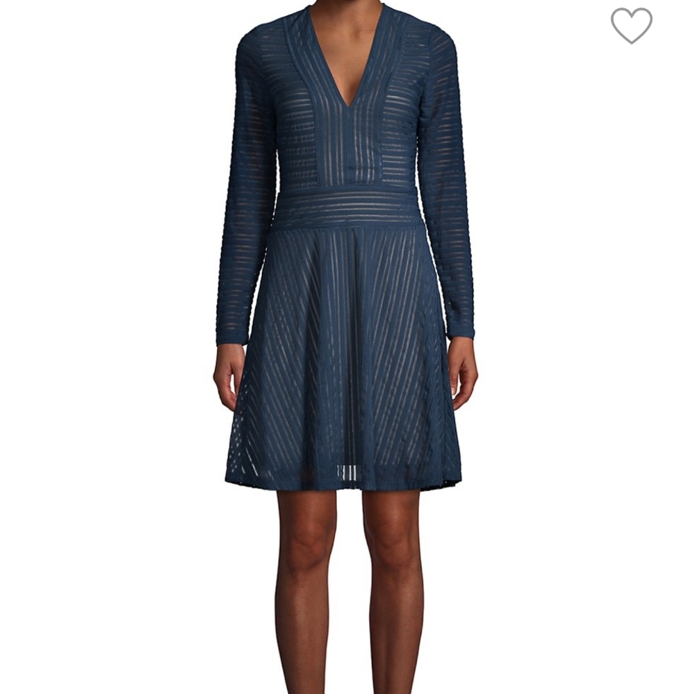 BCBG Flare Dress